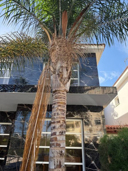 House (Semi detached) in Crowne Plaza Area, Limassol for Sale - 6