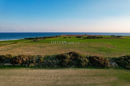 Field for Sale in Mazotos, Larnaca - 6