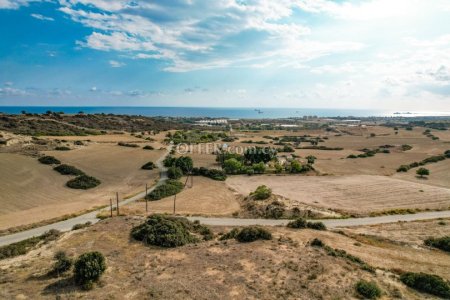 Field for Sale in Mazotos, Larnaca - 6
