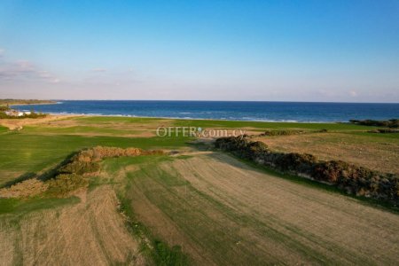 Field for Sale in Mazotos, Larnaca - 4