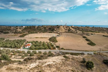 Field for Sale in Mazotos, Larnaca - 4