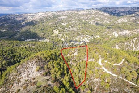 Shared field in Anogyra, Limassol - 5