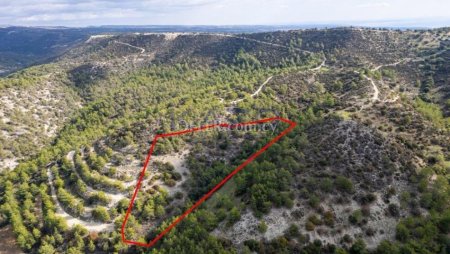 Shared field in Anogyra, Limassol - 3