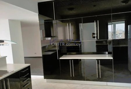 Three Bedroom Whole Floor Penthouse Apartment is available for Rent in Lykavitos - 6