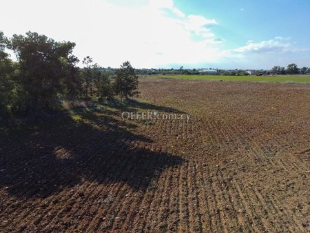 Field for Sale in Xylofagou, Larnaca - 3