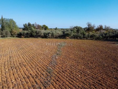 Field for Sale in Xylofagou, Larnaca - 2