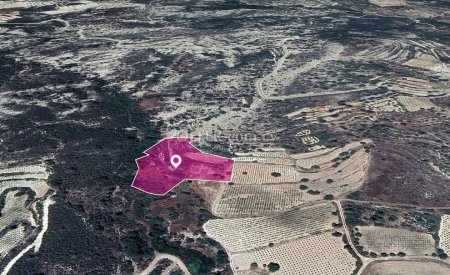 Residential field in Agios Mamas Community Limassol - 3