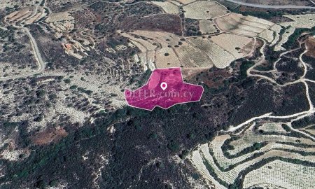 Residential field in Agios Mamas Community Limassol - 2