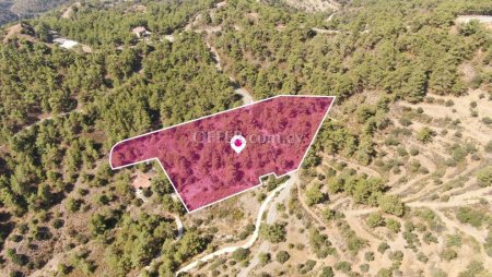 Residential Field in Vavatsinia Larnaca - 3