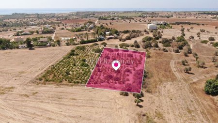 Residential Field in Mazotos Larnaca - 2
