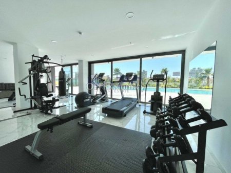 Modern 3 Bedroom Apartment with Sea View in Mouttagiaka - 4