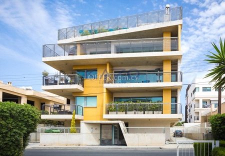 Spacious Penthouse with Pool in Agios Nektarios