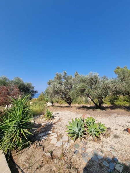 4 Bed Detached Villa for sale in Agia Marina Chrysochous, Paphos - 7