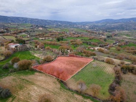 Residential Field for sale in Stroumbi, Paphos - 6