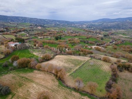Residential Field for sale in Stroumbi, Paphos - 3