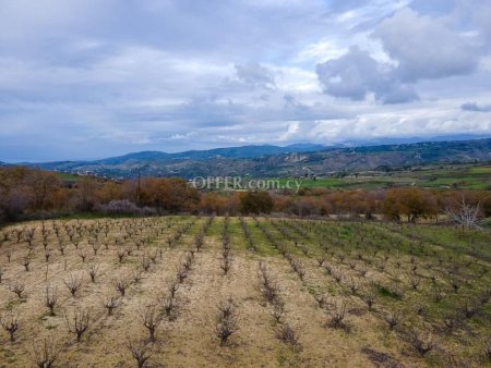 Residential Field for sale in Stroumbi, Paphos - 2