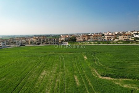 Field for Sale in Tersefanou, Larnaca - 4