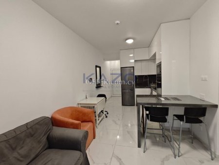 One Bedroom Fully Renovated Apartment for Sale in Neapolis, Limassol - 13
