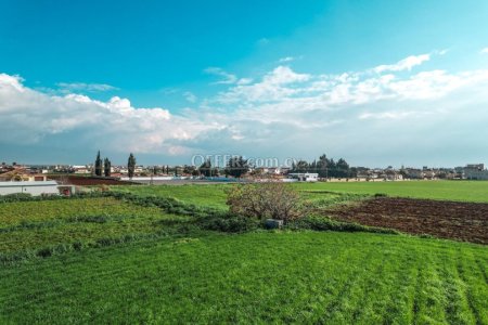 Field for Sale in Xylofagou, Larnaca - 6