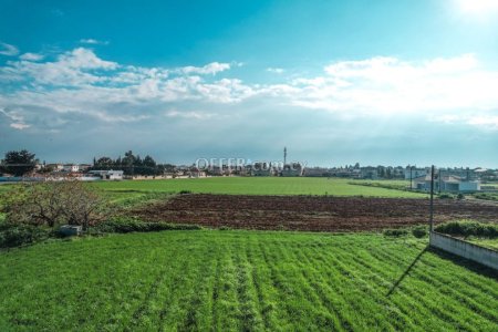Field for Sale in Xylofagou, Larnaca - 5