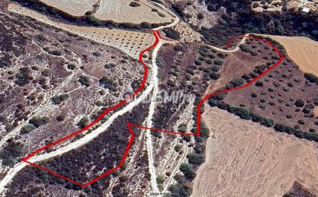 Agricultural Land For Sale in Tremithousa, Paphos - DP4486 - 3