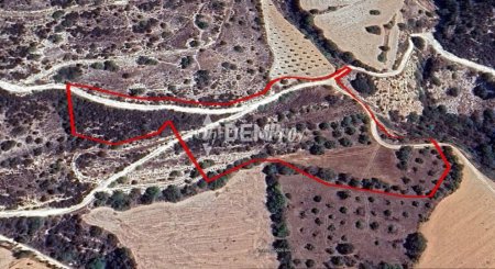 Agricultural Land For Sale in Tremithousa, Paphos - DP4486 - 2
