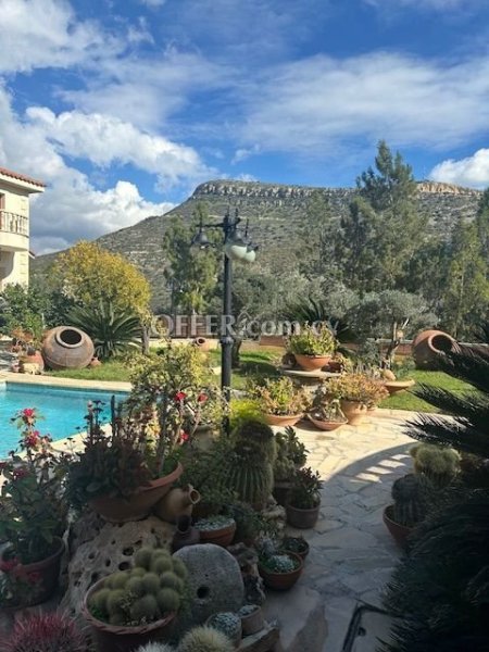 FOR SALE TWO HOUSES ON THE SAME PLOT OF LAND IN 2019m2 - 8