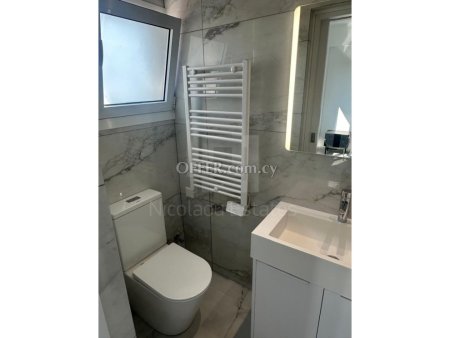 Three Bedroom Fully Furnished Recently Renovated Apartment for Rent in Nicosia City Center - 4
