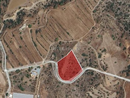Agricultural Field for sale in Pyrgos Lemesou, Limassol