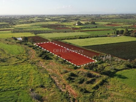 Field for Sale in Liopetri, Ammochostos - 4