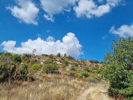 Agricultural Field for sale in Koilani, Limassol - 2