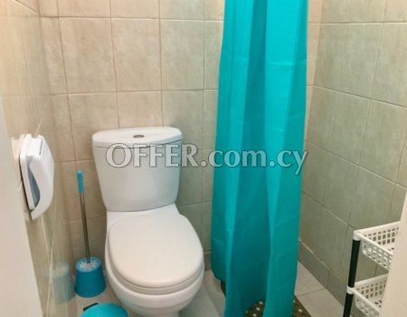 Beautiful one-bedroom auxiliary house for rent in Agios Dometios area. - 4