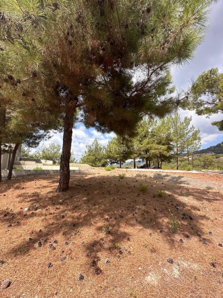 House (Detached) in Platres (Kato), Limassol for Sale - 3