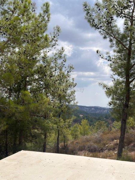 House (Detached) in Platres (Kato), Limassol for Sale - 7