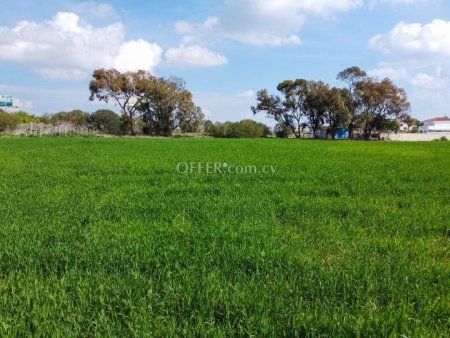 Field for Sale in Sotira, Ammochostos - 3