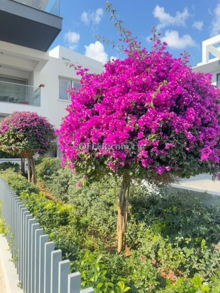 1 Bedroom Apartment For Sale Limassol - 3