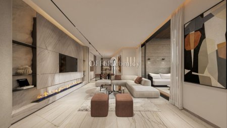 LUXURY TWO BEDROOM APARTMENT IN GERMASOGIA AREA! - 3