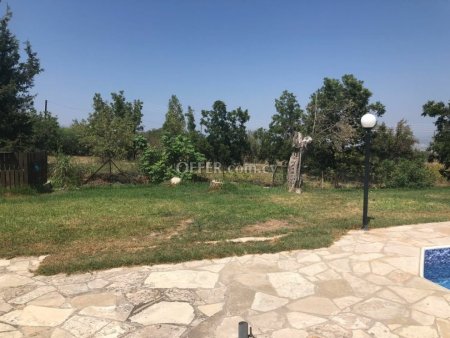 Spacious Four Bedroom Detached Villa with Pool in Akourdalia - 3
