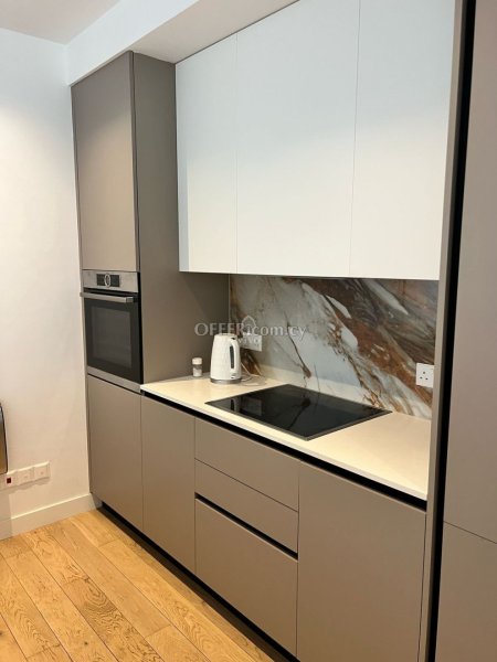 THREE BEDROOM FULLY FURNISHED APARTMENT IN PANTHEA - 3