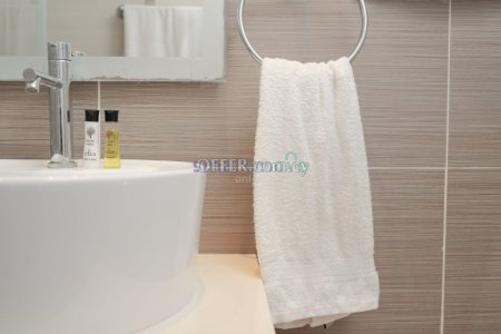 1 Bedroom Apartment Private Pool For Rent Limassol - 2