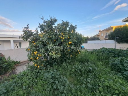 Spacious Detached One-Storey House in Xylofagou - 2