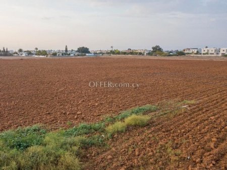 Residential Field in Frenaros - 8