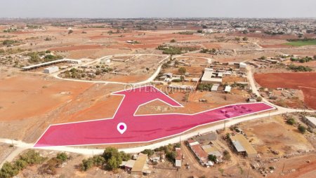 Animal breeding field in Frenaros Ammochostos - 2