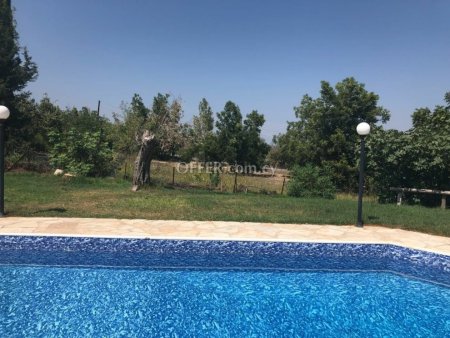 Spacious Four Bedroom Detached Villa with Pool in Akourdalia - 9