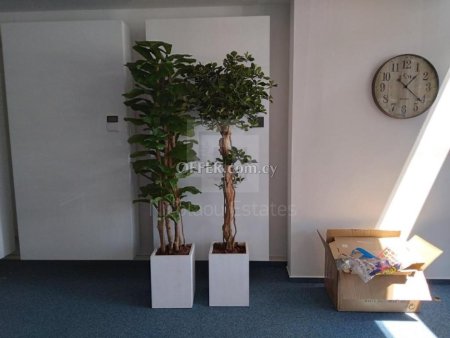 Modern Office Ayios Nicolaos Limassol Cyprus - 8