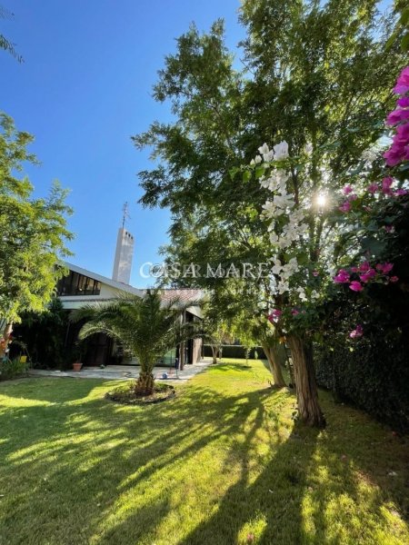 Exceptional 310m² Detached House on a Spacious Plot – Latsia - 6