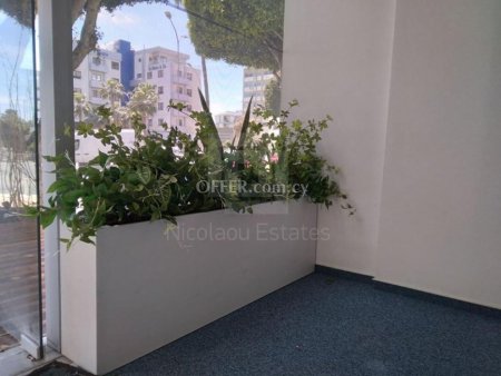 Modern Office Ayios Nicolaos Limassol Cyprus - 7