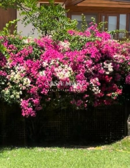 Exceptional 310m² Detached House on a Spacious Plot – Latsia - 5
