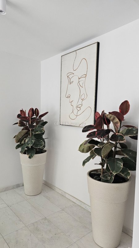 Brand New 2 bedrooms Apartment by the sea in Tombs of the Kings area - 6