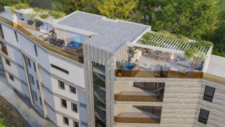NEW TWO BEDROOM APARTMENT IN PANTHEA AREA! - 2